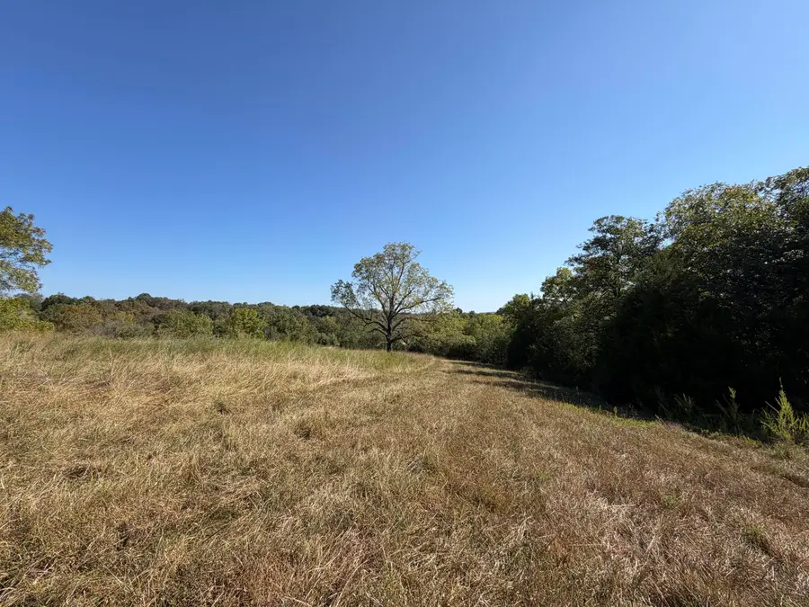 001 Greentown Road, Buffalo, MO 65622 - #3