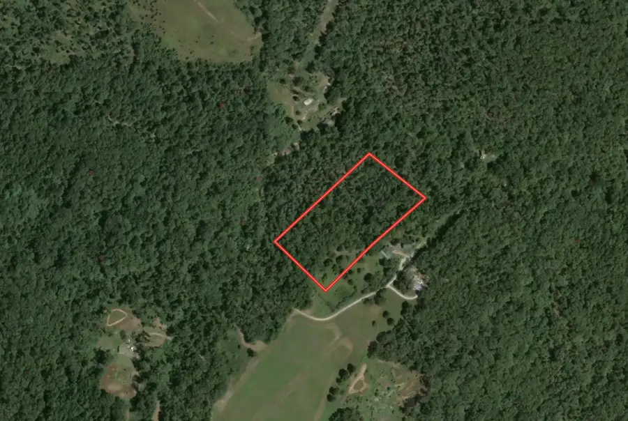 000 Rural Route 1 Box 95g, Mountain Grove, MO 65711 - #2
