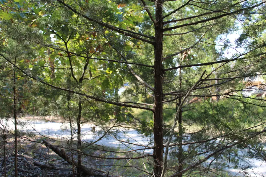 000 Blue Lake Drive #Lot 26, Protem, MO 65733 - #2