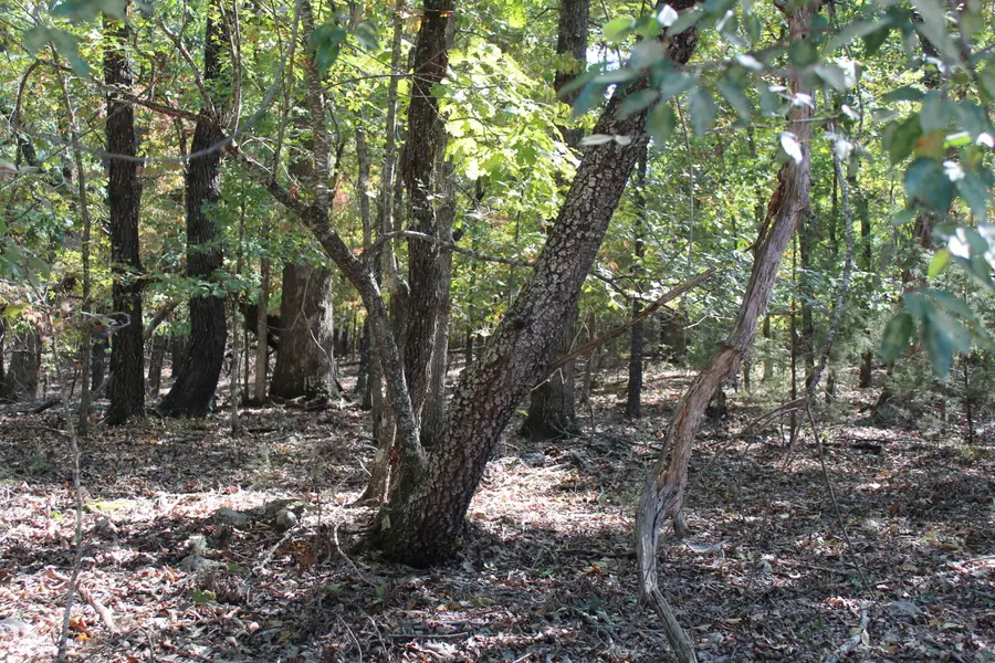 000 Blue Lake Drive #Lot 26, Protem, MO 65733 - #3