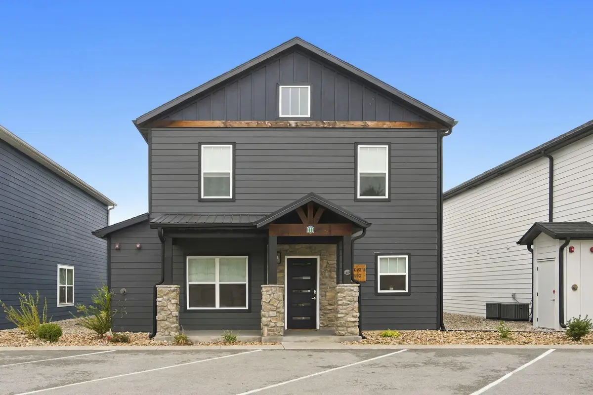 111 Chateau Mountain Lane, Branson, MO 65616 - #1