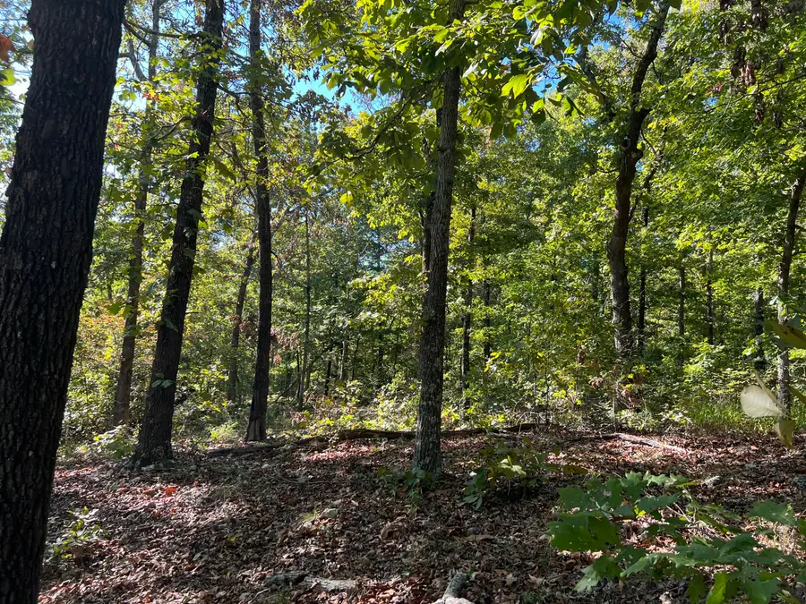 000 N River Oaks Trail, Mammoth Spring, AR 72554 - #2