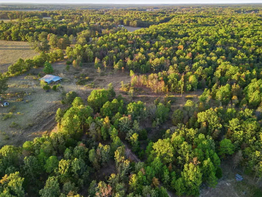 26412 County Road 349, Hartshorn, MO 65479 - #2