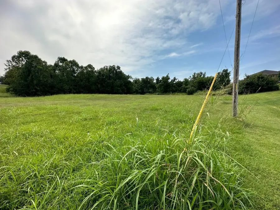 2.89 Ac Daugherty Road, Neosho, MO 64850 - #3