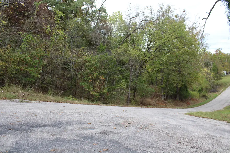 405 1st Street, Rockaway Beach, MO 65740 - #3