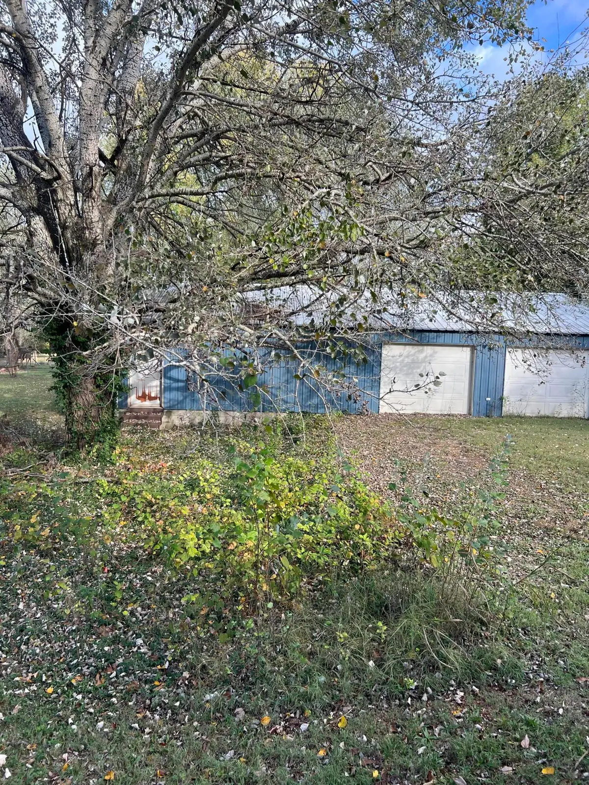 1406 S Mcphail Drive, Aurora, MO 65605 - #1
