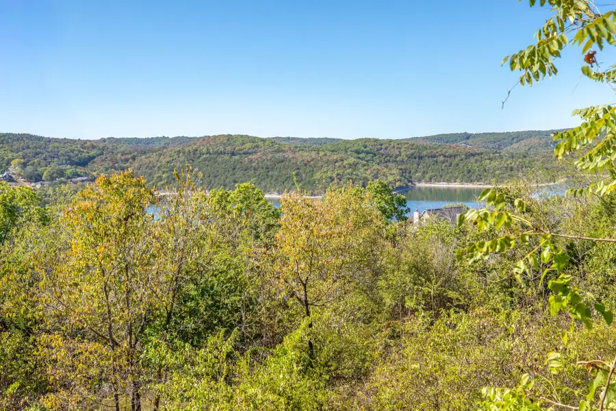 Tbd Cow Creek Road, Blue Eye, MO 65611 - #3