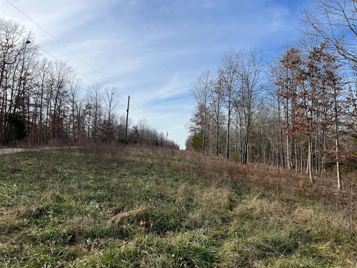 0005 River Oaks Trail, Mammoth Spring, AR 72554 - #1