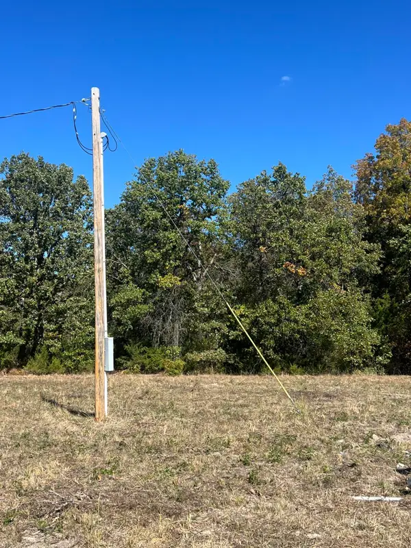 153 State Road Dd, Buffalo, MO 65622