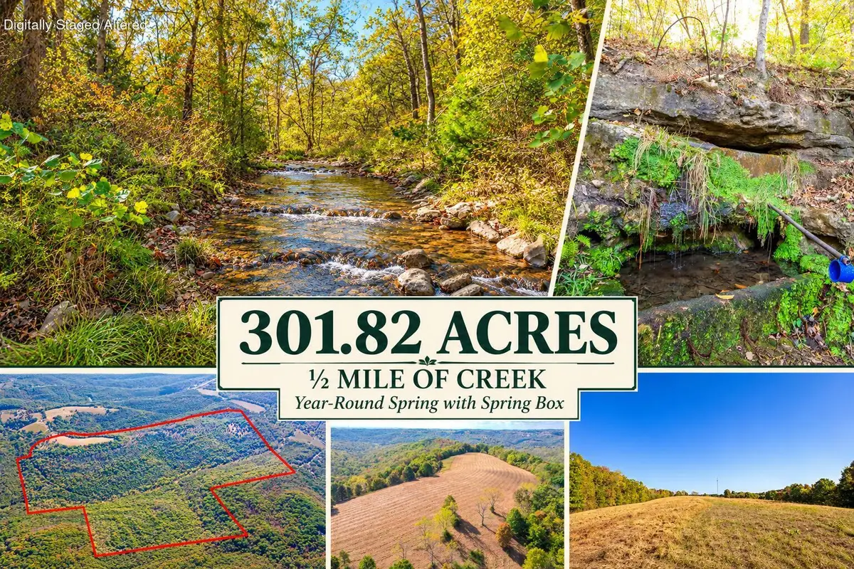 Tbd Wolf Road, Walnut Shade, MO 65771 - #1