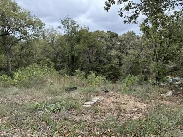 216 W South Street, Neosho, MO 64850 - #3
