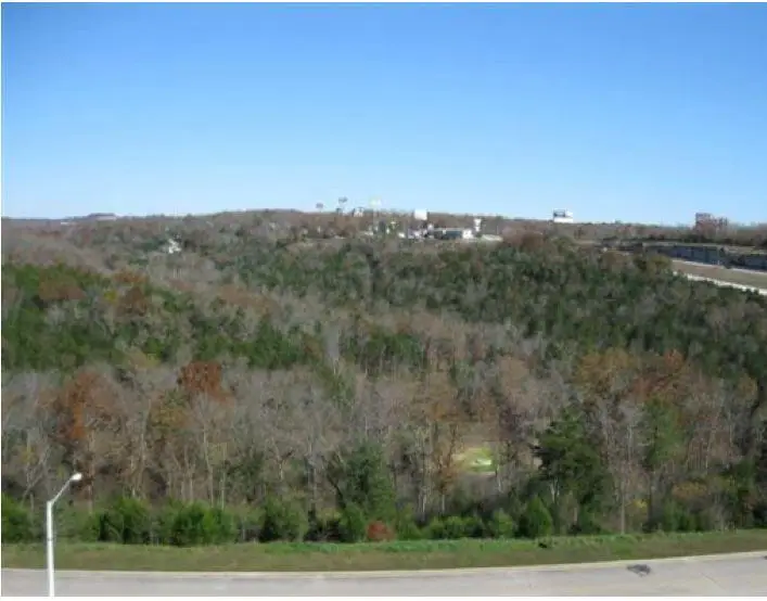 000 Ozark Scenic Drive, Branson, MO 65616 - #1
