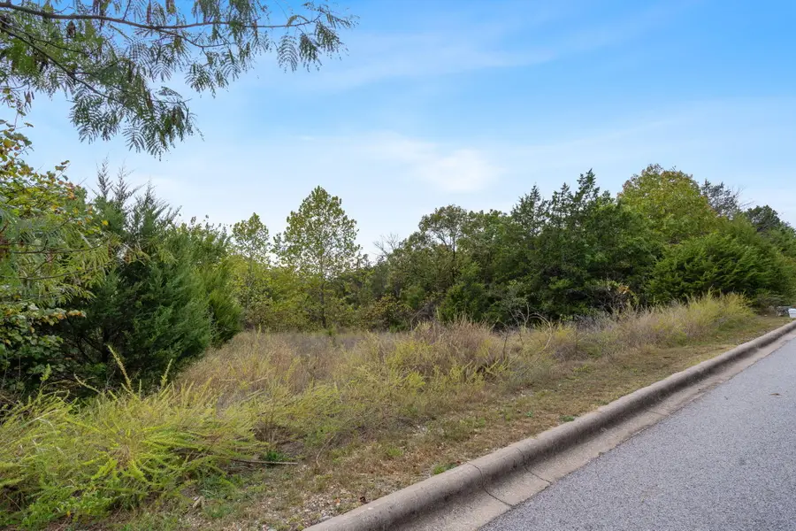 861 Crescent Drive, Hollister, MO 65672 - #2