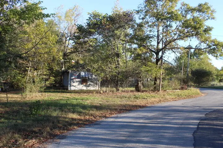 536 Co Rd 513, Gainesville, MO 65655 - #3