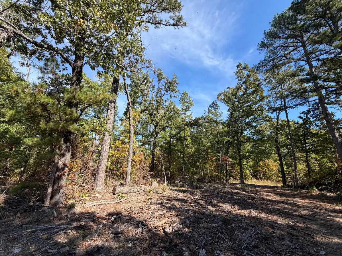 0000 State Highway 19, Eminence, MO 65466 - #1
