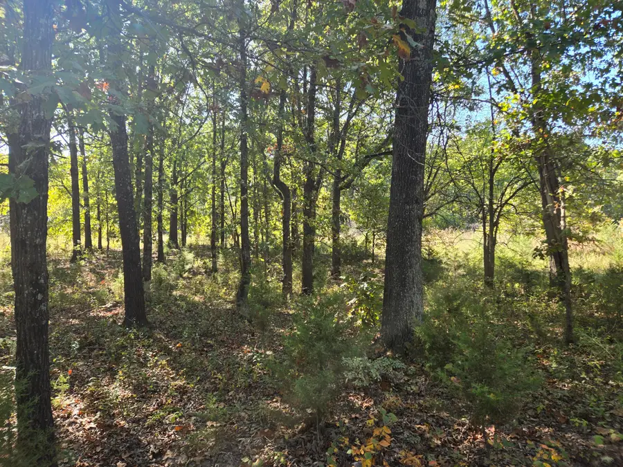19832 County Road 64 #Tract 1, Wheatland, MO 65779 - #2