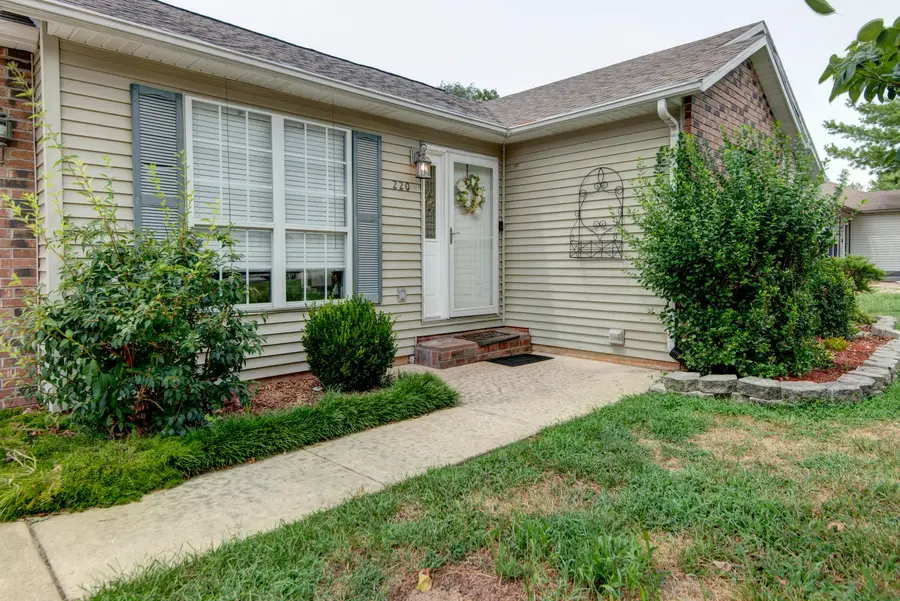 220 Blossom Valley, Branson, MO 65616 - #2