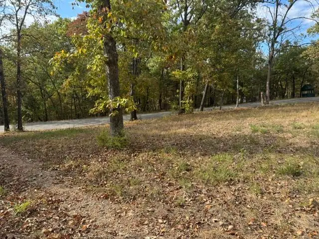 616 Silver Creek Road, Rockaway Beach, MO 65740 - #1