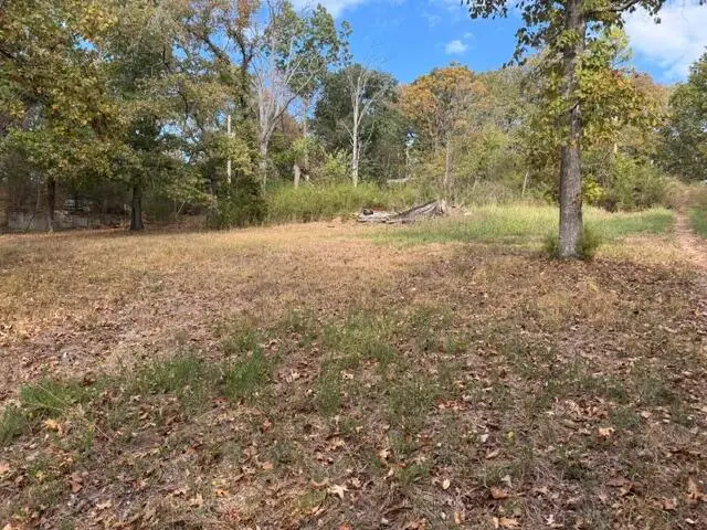 616 Silver Creek Road, Rockaway Beach, MO 65740 - #3