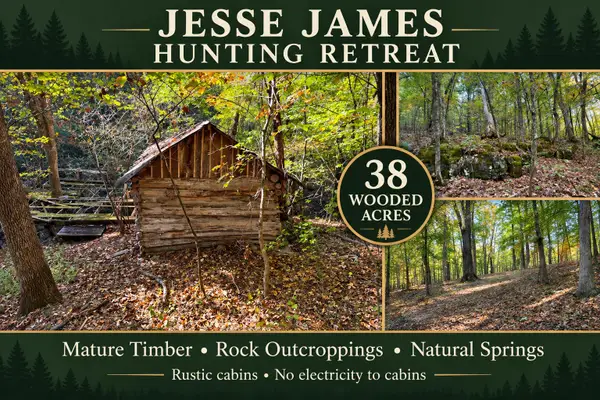 Tbd Us Hwy 65, Walnut Shade, MO 65771