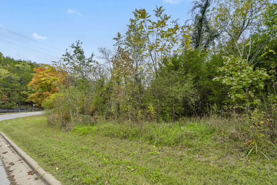 2866 Maple Street, Hollister, MO 65672 - #3