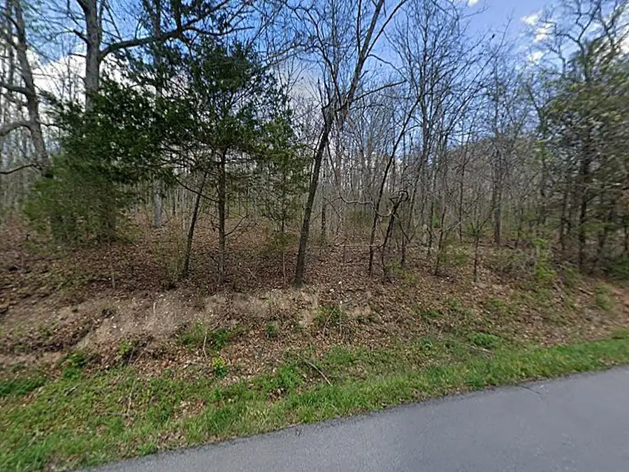 Tbd Swinging Bridge Rd, Crane, MO 65633 - #2