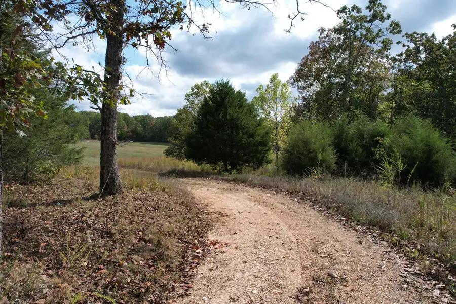 000 County Road 3850, Peace Valley, MO 65788 - #2