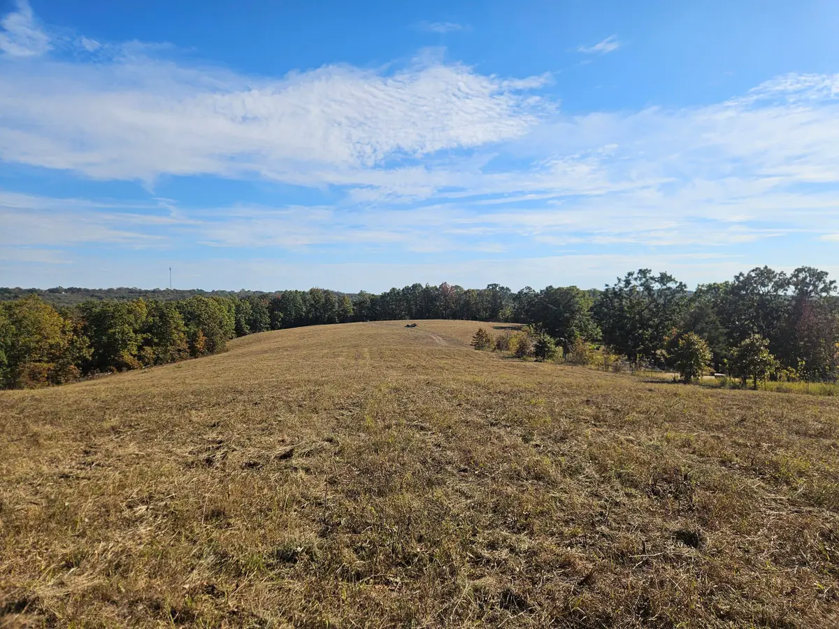 000 5 South, Squires, MO 65755 - #1