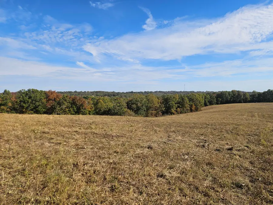 000 5 South, Squires, MO 65755 - #2