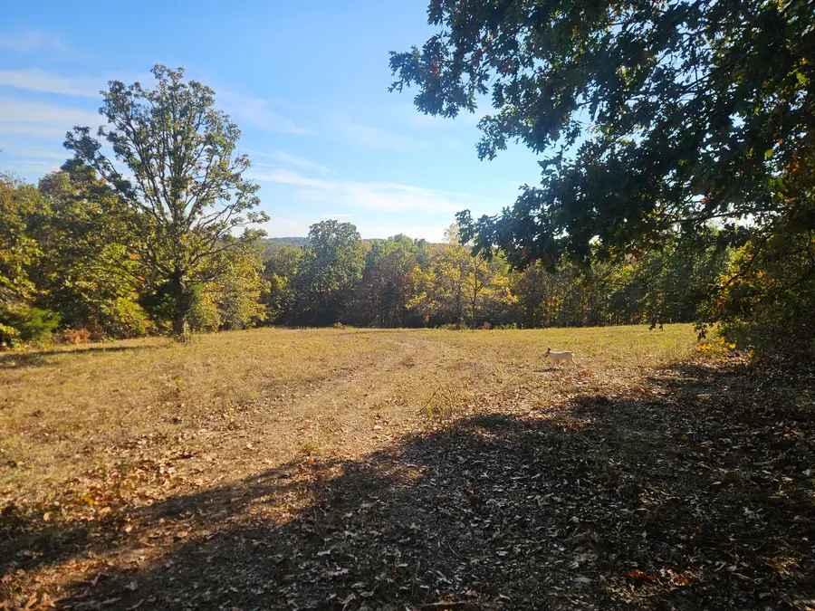 000 5 South, Squires, MO 65755 - #3