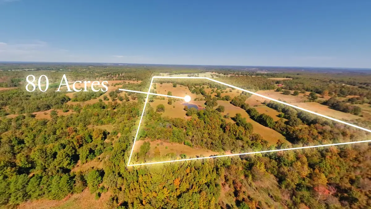 Tract 3 Pleasant Run Road, Mammoth Spring, AR 72554 - #1