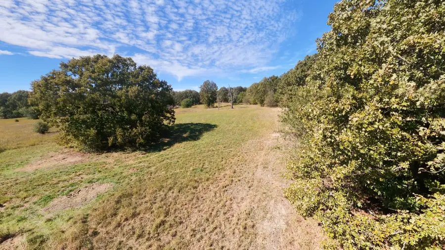 Tract 3 Pleasant Run Road, Mammoth Spring, AR 72554 - #3