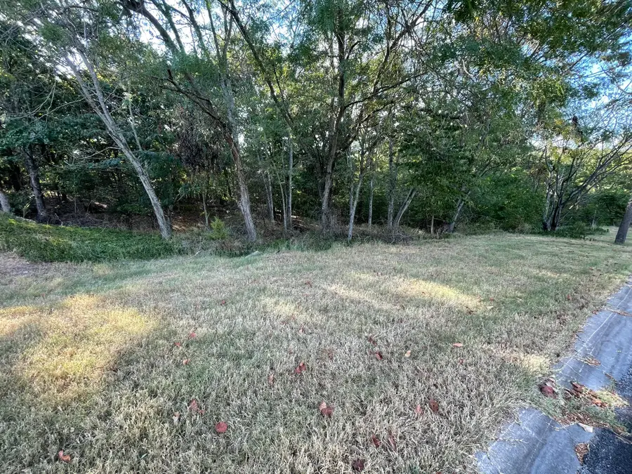 213 N Rainbow Drive, Branson, MO 65616 - #2