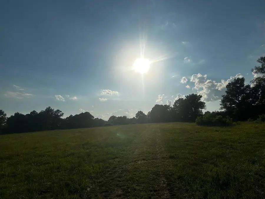 Tract 1D Audrain Road, Mexico, MO 65265 - #3