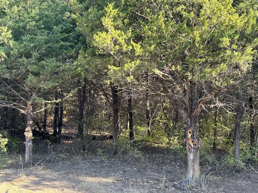 Tract 2B Audrain Road 935, Mexico, MO 65265 - #2