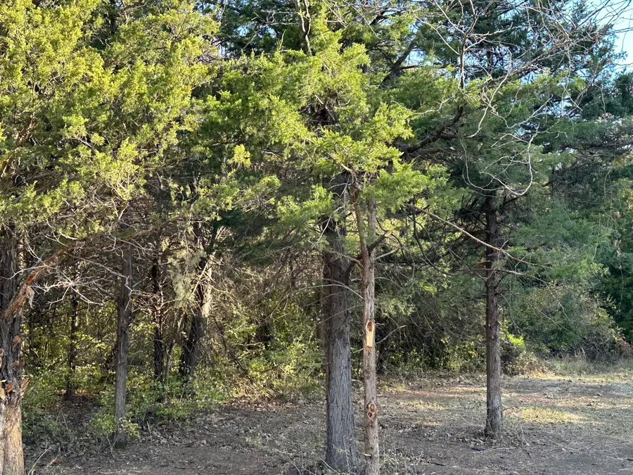 Tract 2B Audrain Road 935, Mexico, MO 65265 - #3