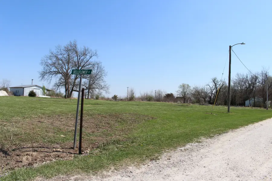 102 S Caroline Avenue, Bellflower, MO 63333 - #2