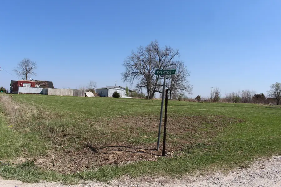 102 S Caroline Avenue, Bellflower, MO 63333 - #3