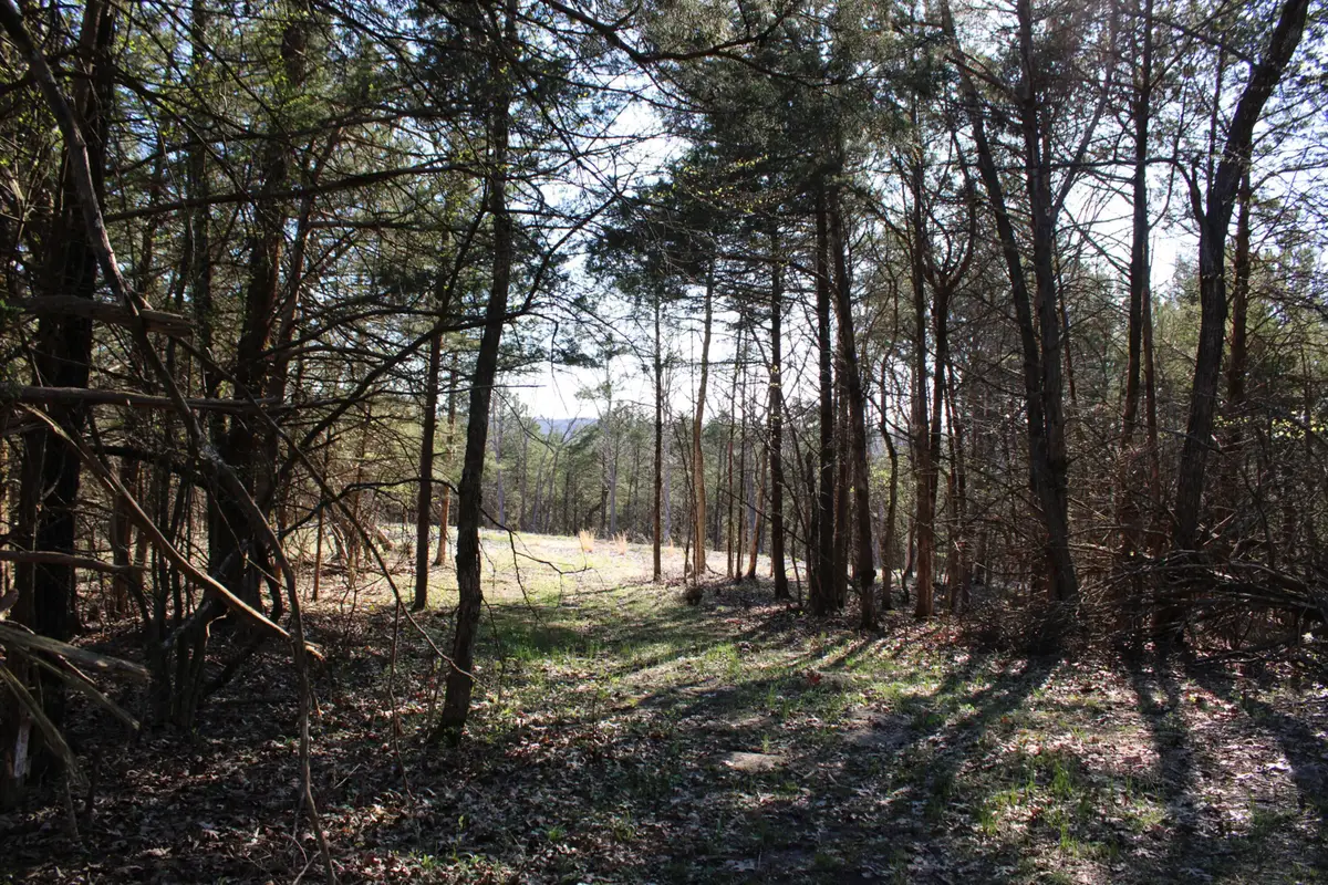 Tract 2-D County Road 449, Fulton, MO 65251 - #1