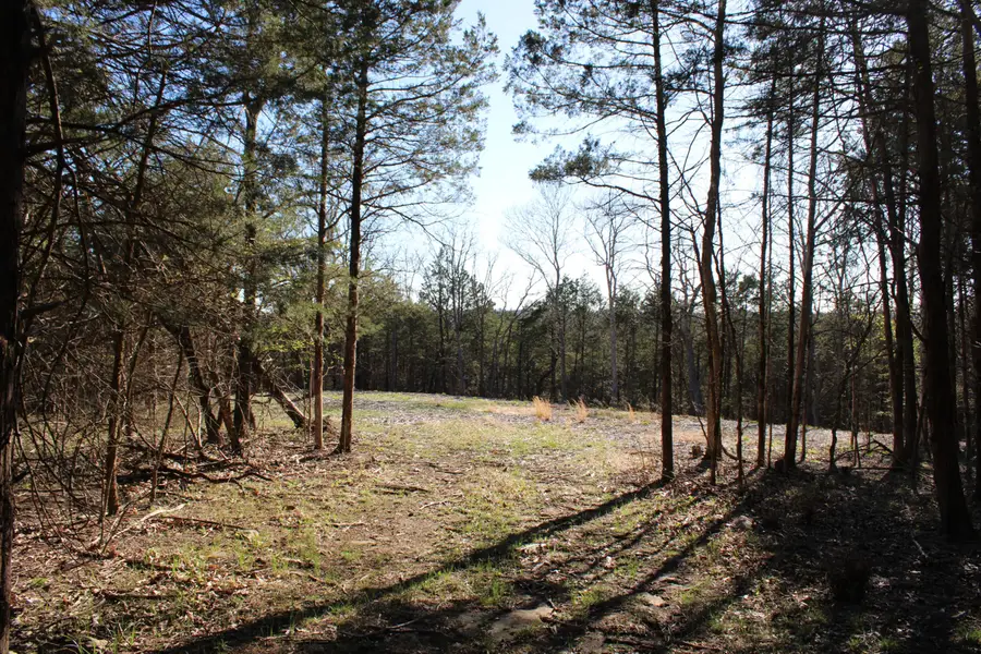 Tract 2-D County Road 449, Fulton, MO 65251 - #3