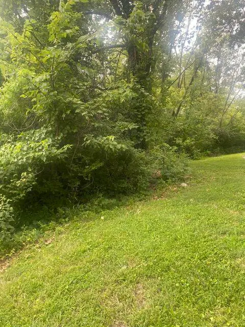 4625 Parker Road, Black Jack, MO 63033 - #1