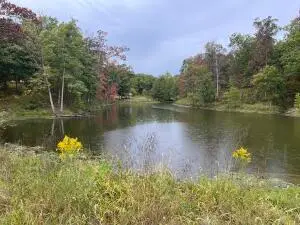 N Timberlakes Circle, Harrisburg, MO 65256