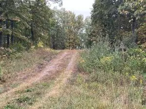 N Timberlakes Circle, Harrisburg, MO 65256 - #2