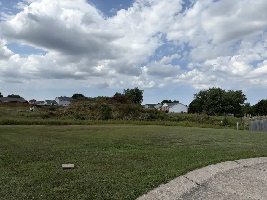 Lot 8 Cardinal, Mexico, MO 65265 - #2