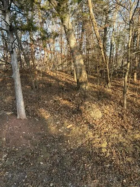 1818 N Sherwood Drive, Marthasville, MO 63357 - #2