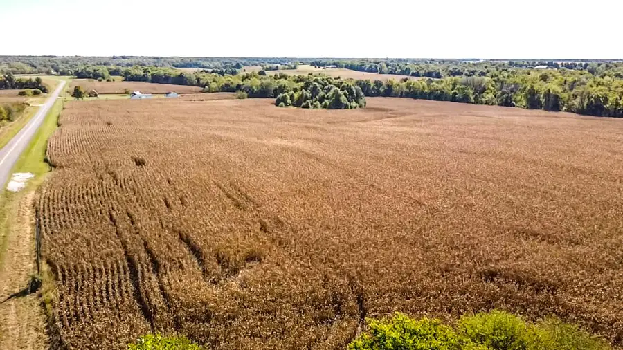 Highway D, Perry, MO 63462 - #2