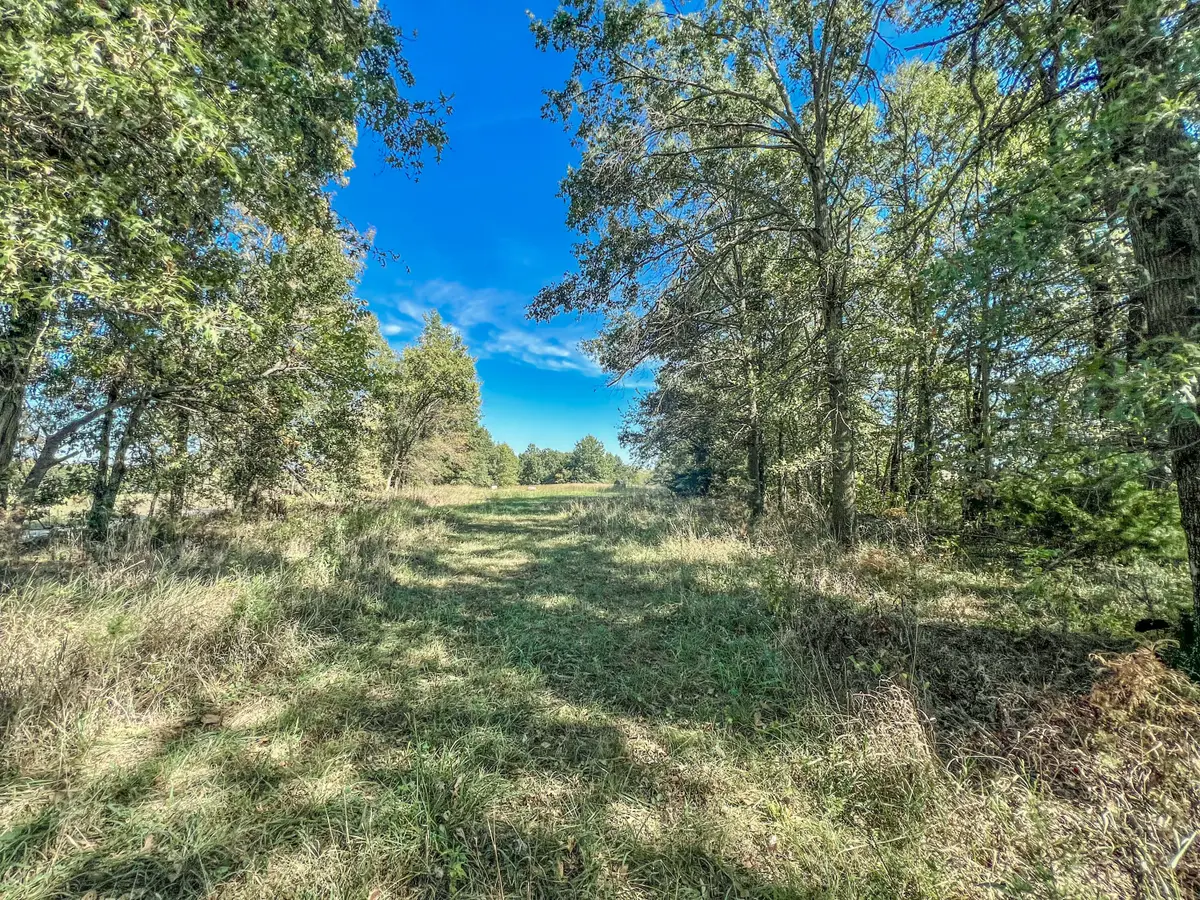 7+/-acres Monroe Road 956, Madison, MO 65263 - #1