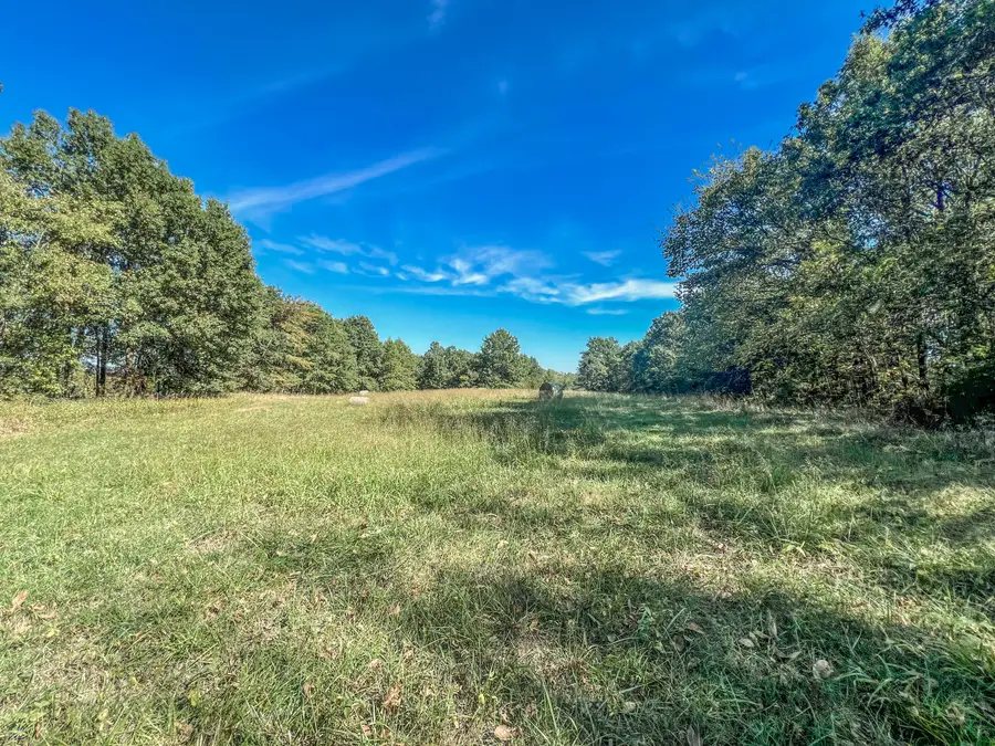 7+/-acres Monroe Road 956, Madison, MO 65263 - #3
