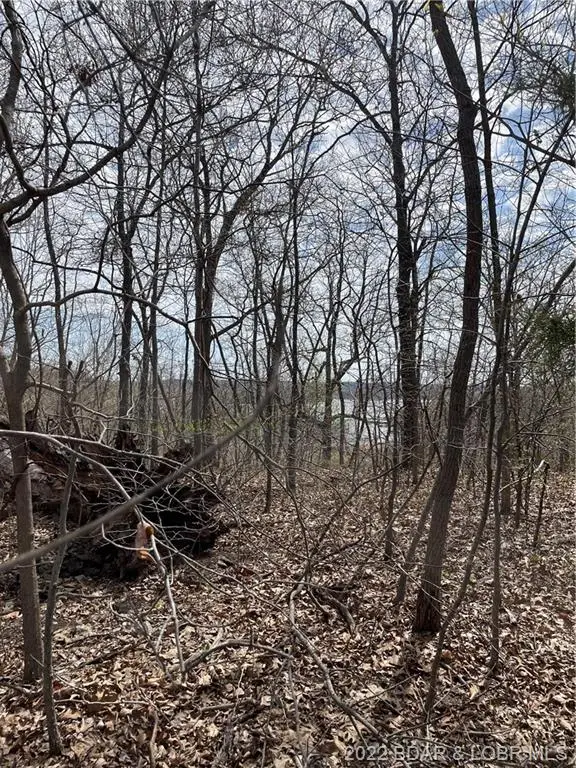 Wading Bird Road, Camdenton, MO 65020 - Image #1