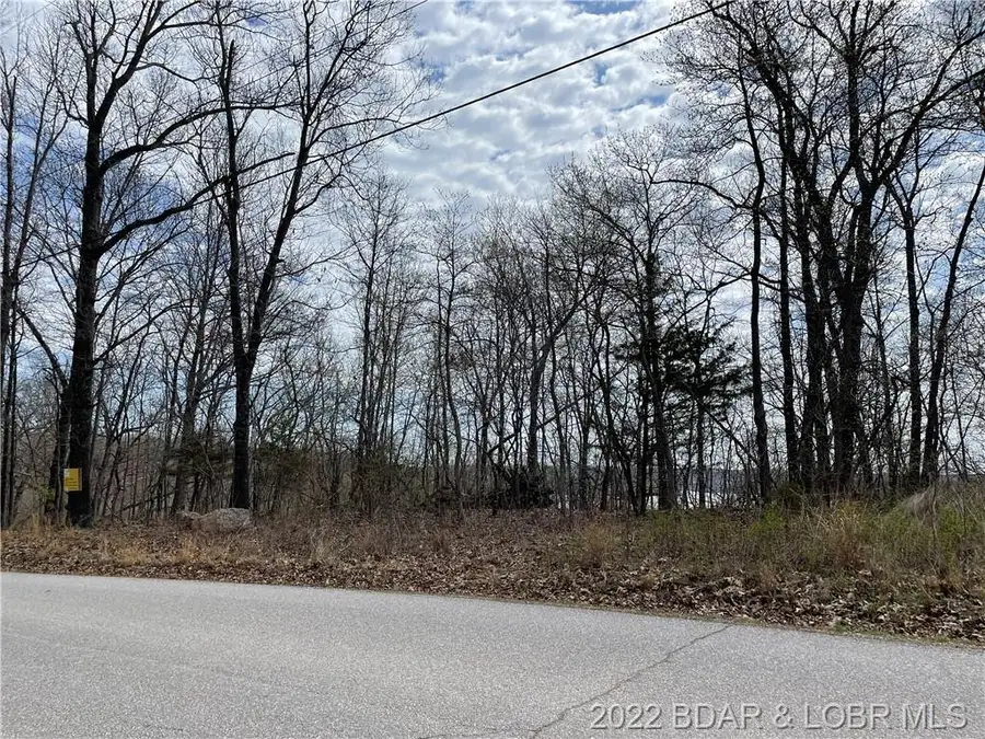 Wading Bird Road, Camdenton, MO 65020 - Image #3